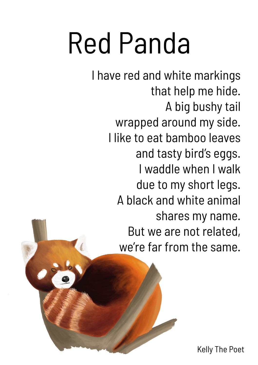 Red Panda Kid’s Print