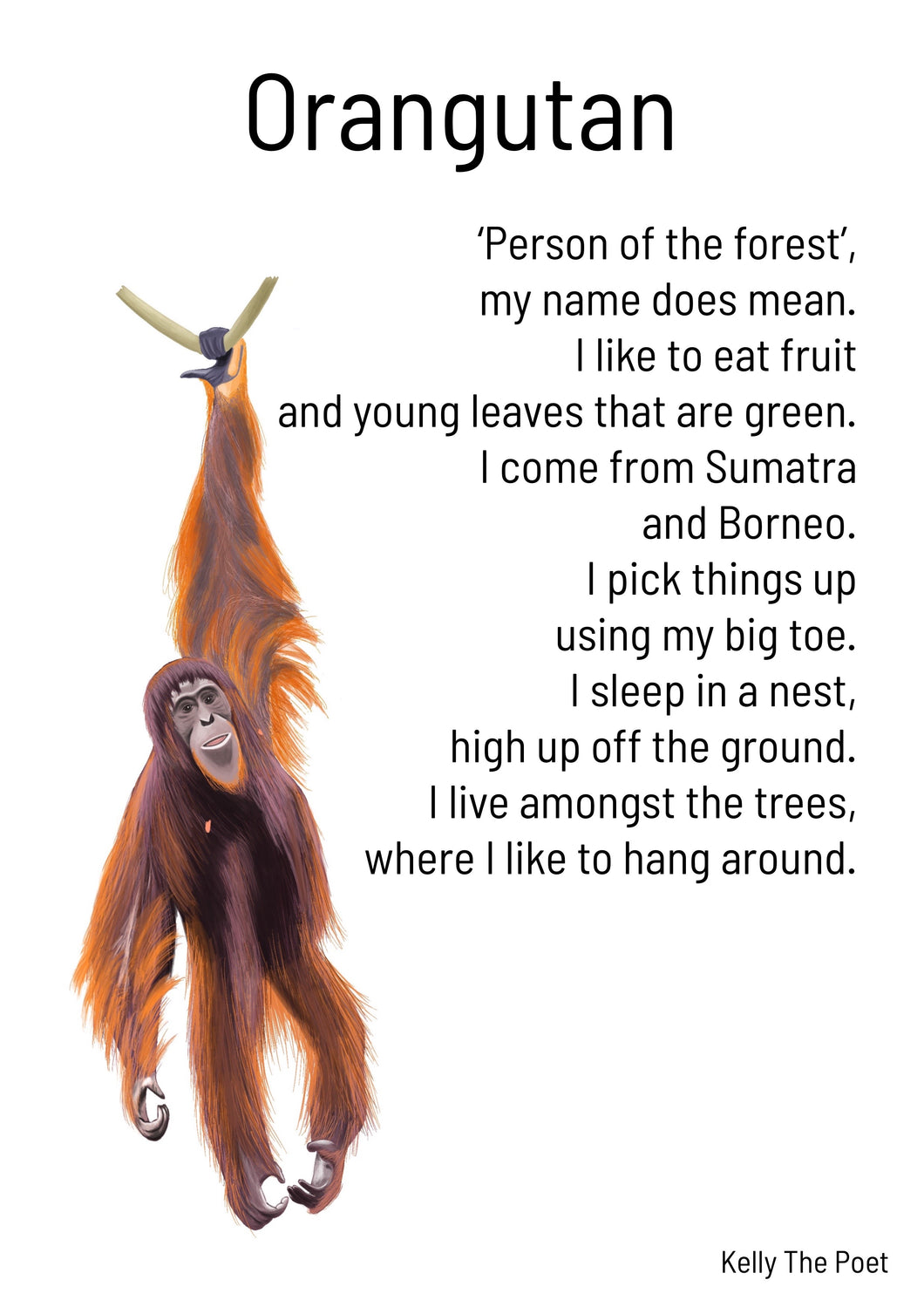 Orangutan Kid’s Print