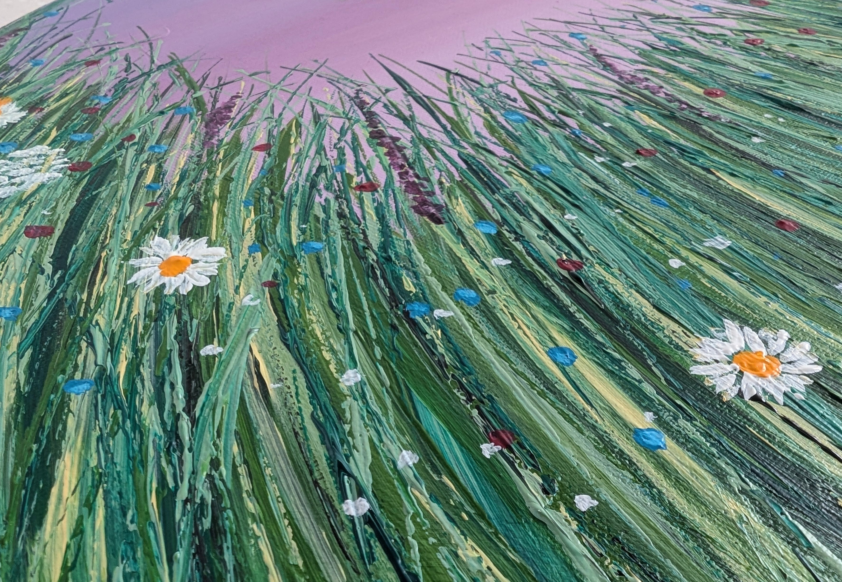 Daisy Meadow