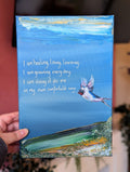 Swallow