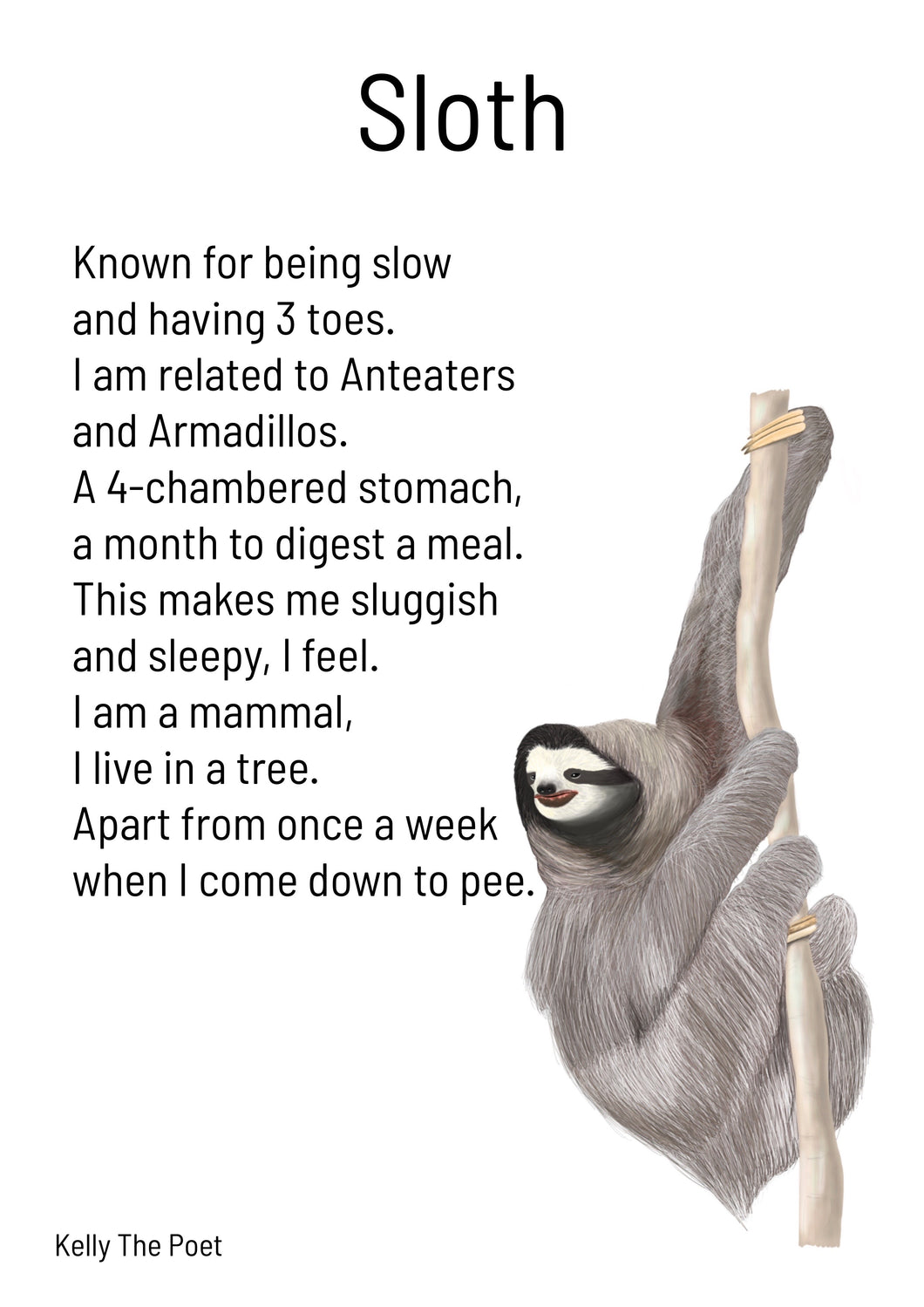 Sloth Kid’s Print