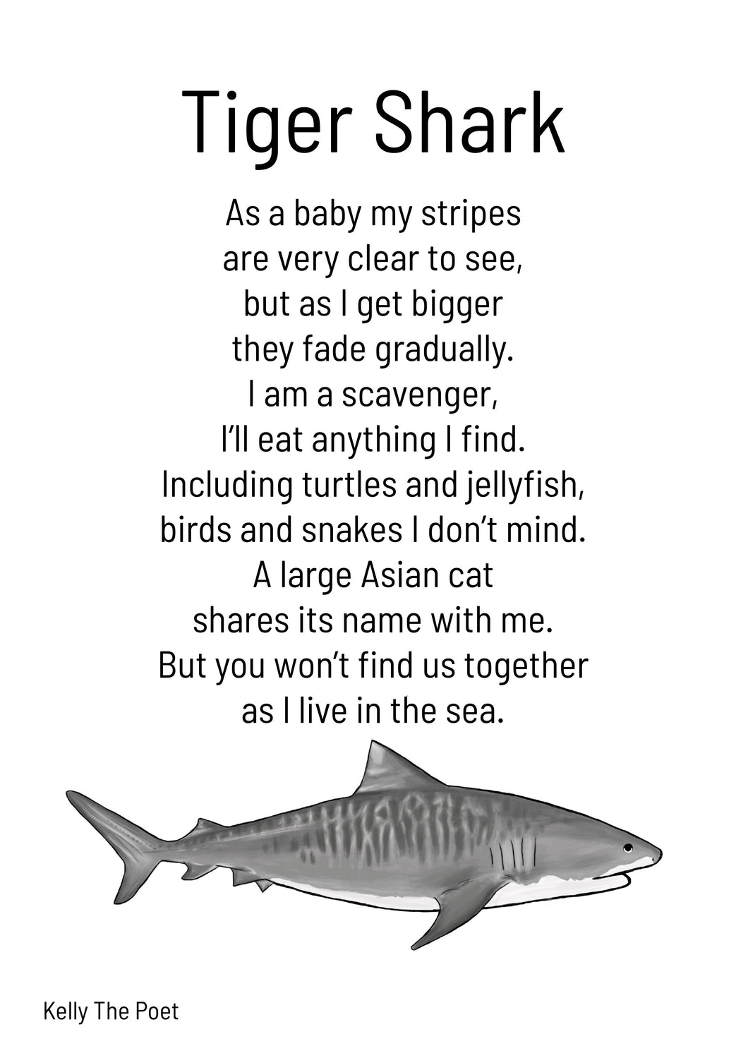 Tiger Shark Kid’s Print