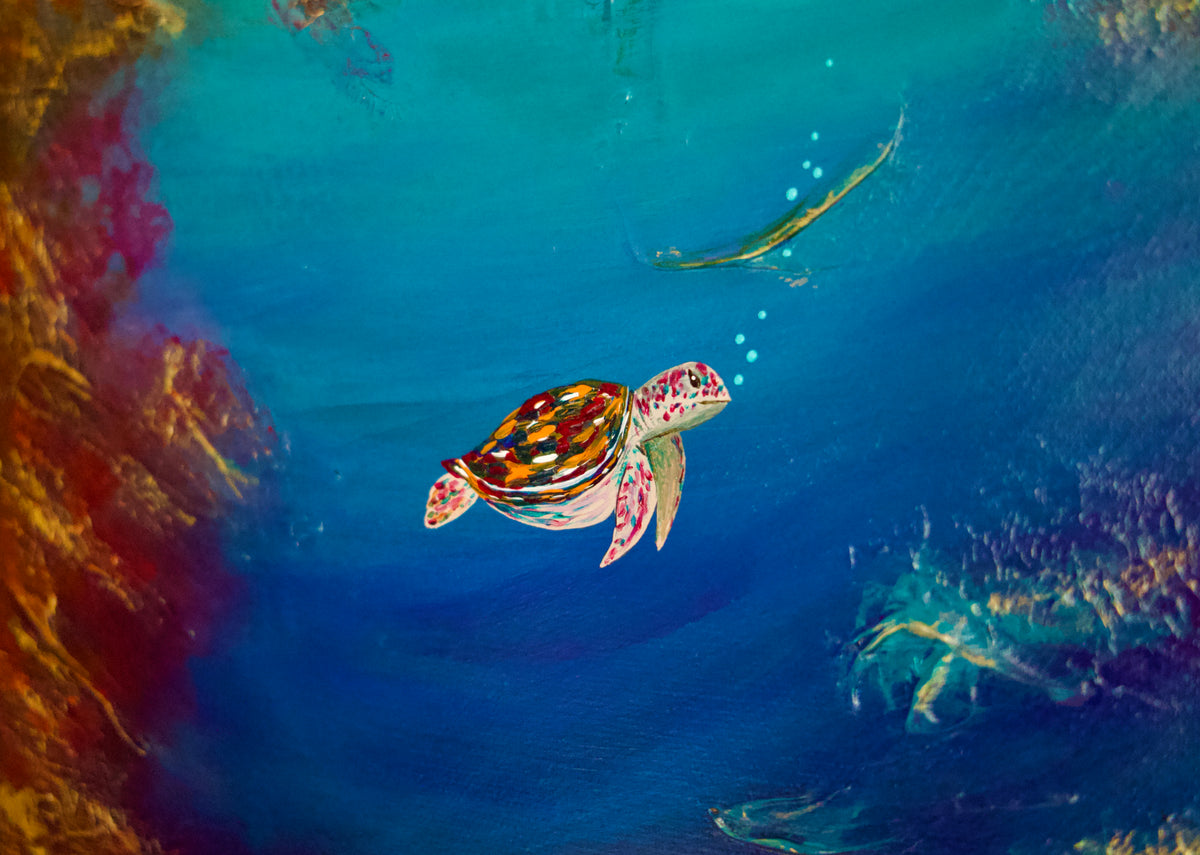 Turtle Cove