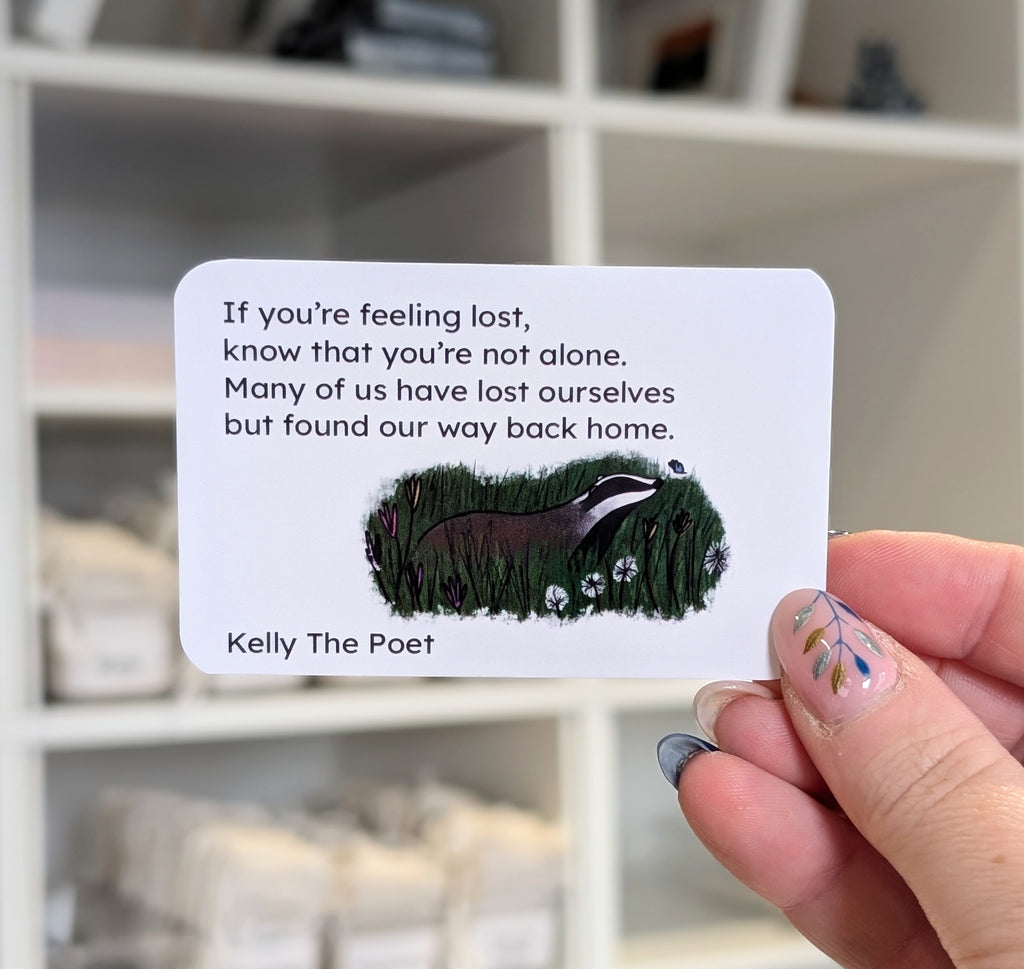 Badger And Butterfly Pocket Poems