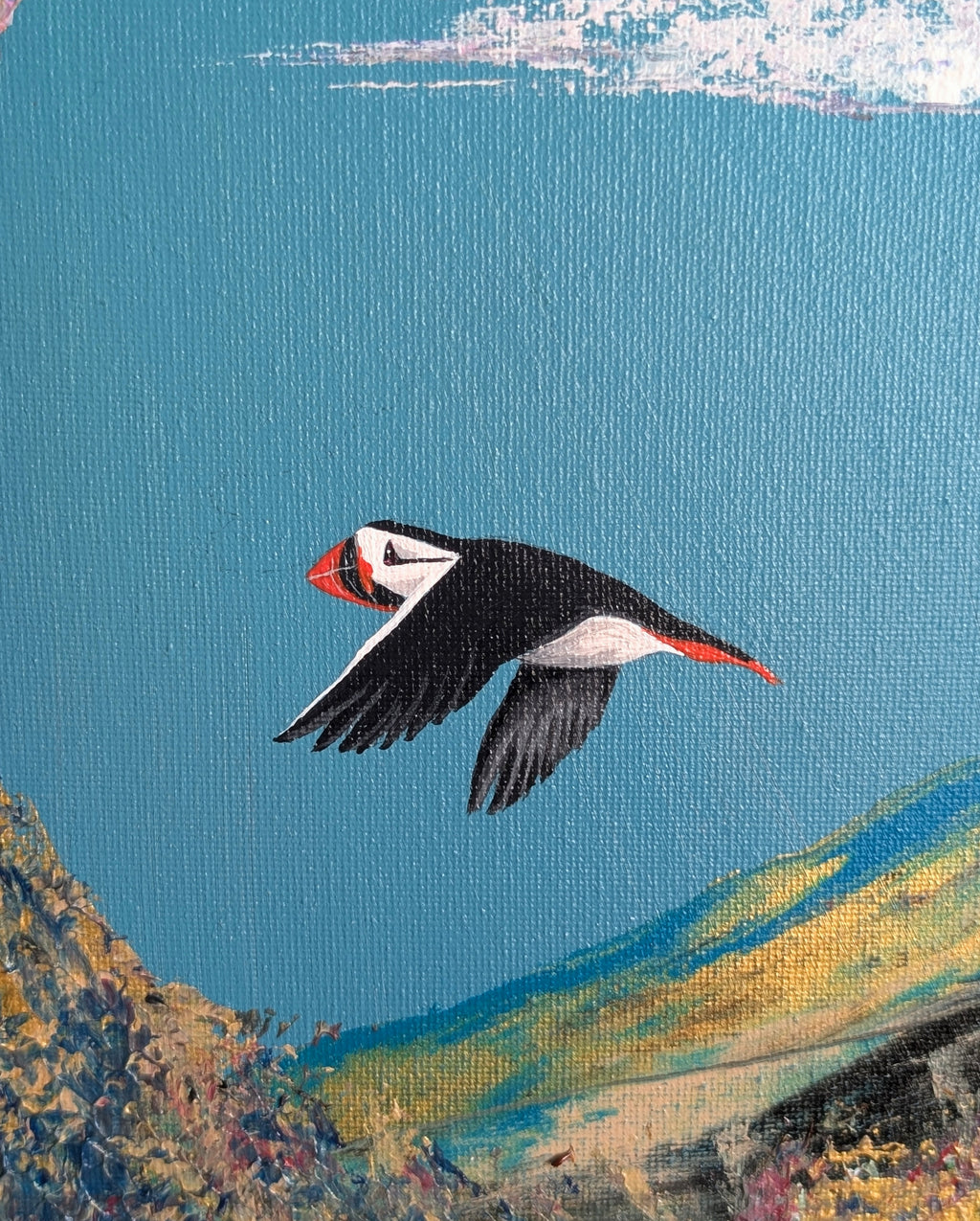 Puffin