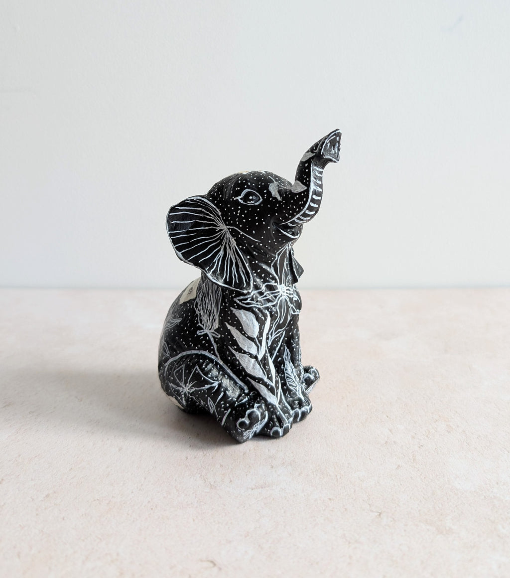 Asha The Baby Elephant