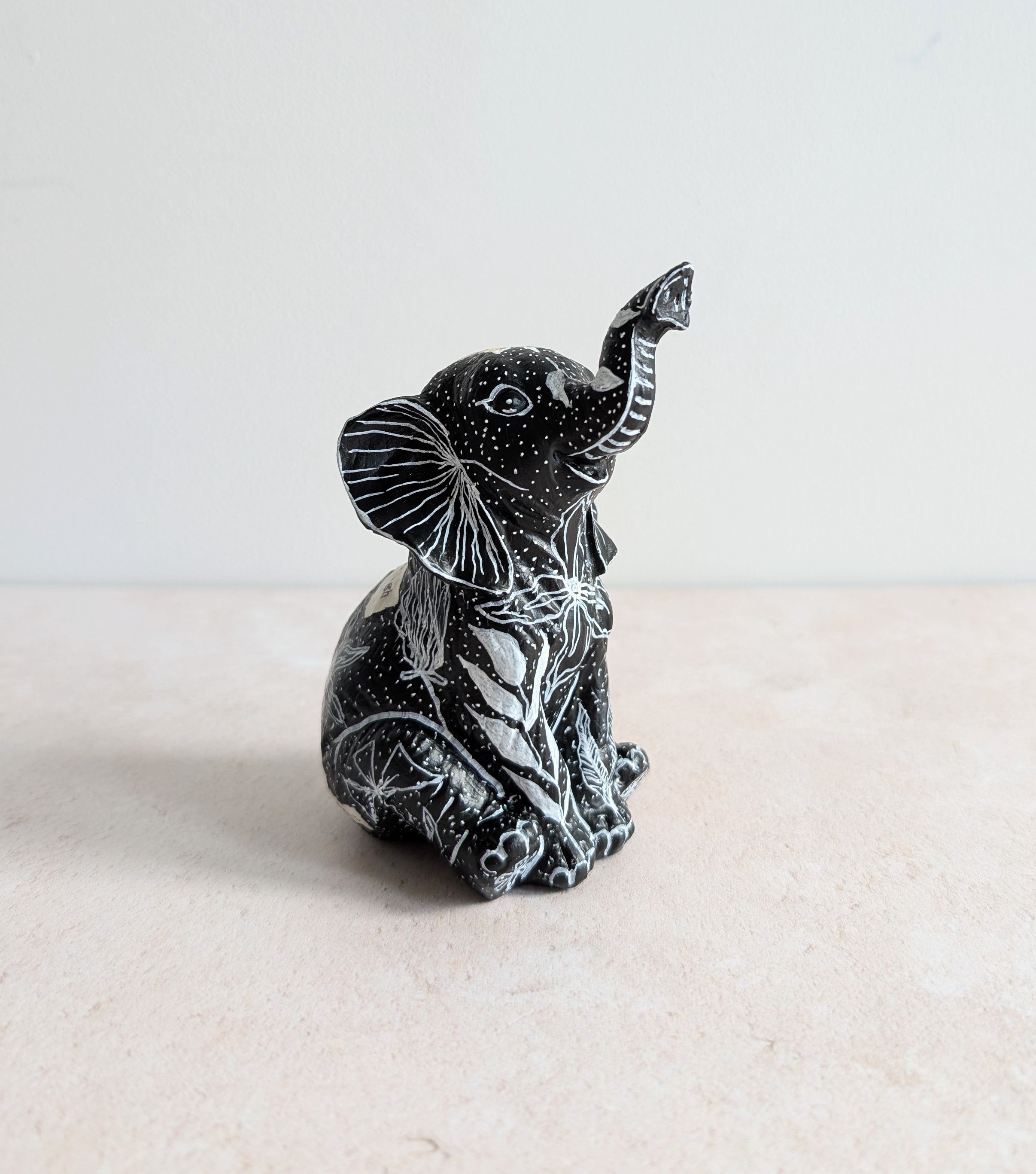 Asha The Baby Elephant