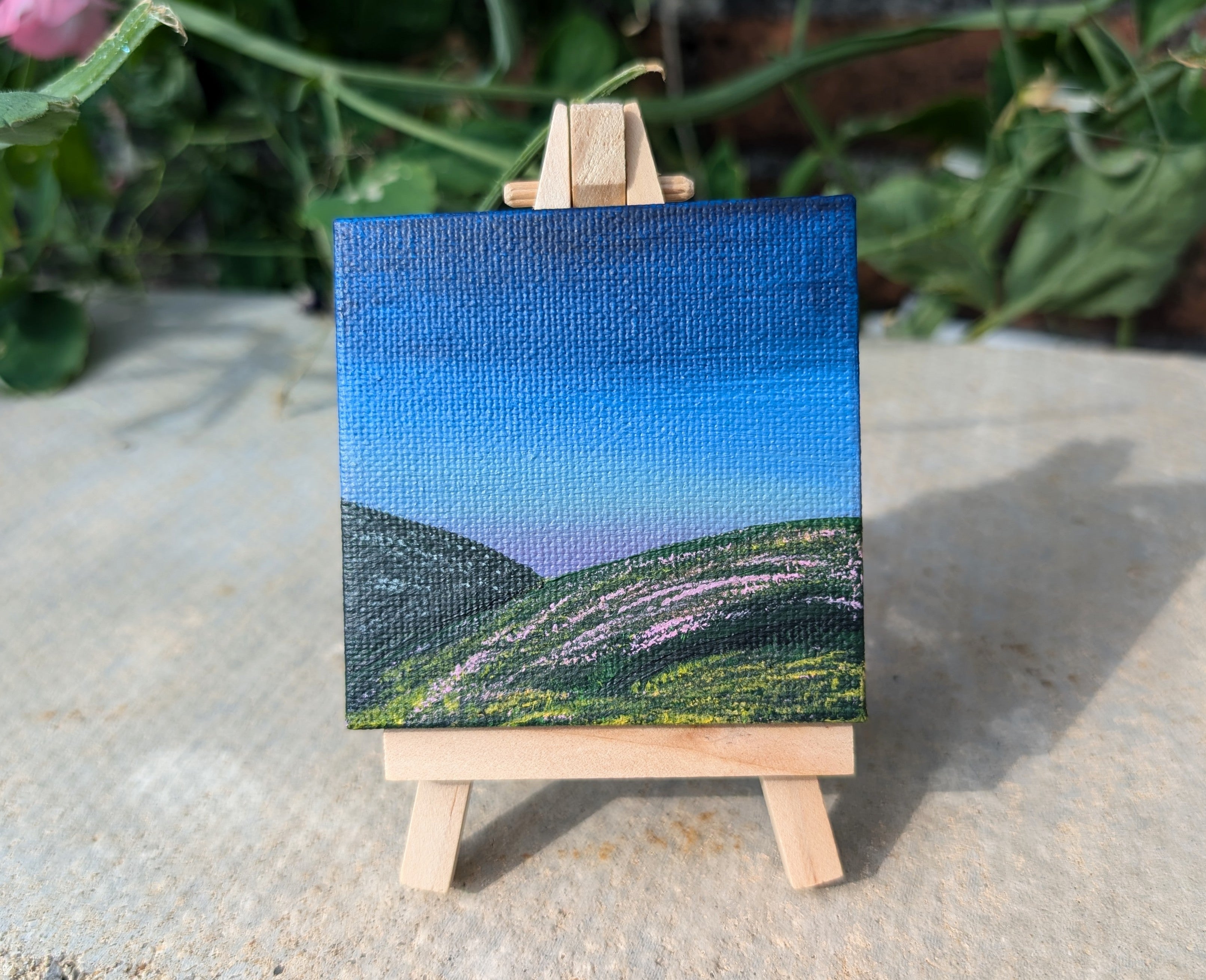 Mini Canvas Wildflower Meadow