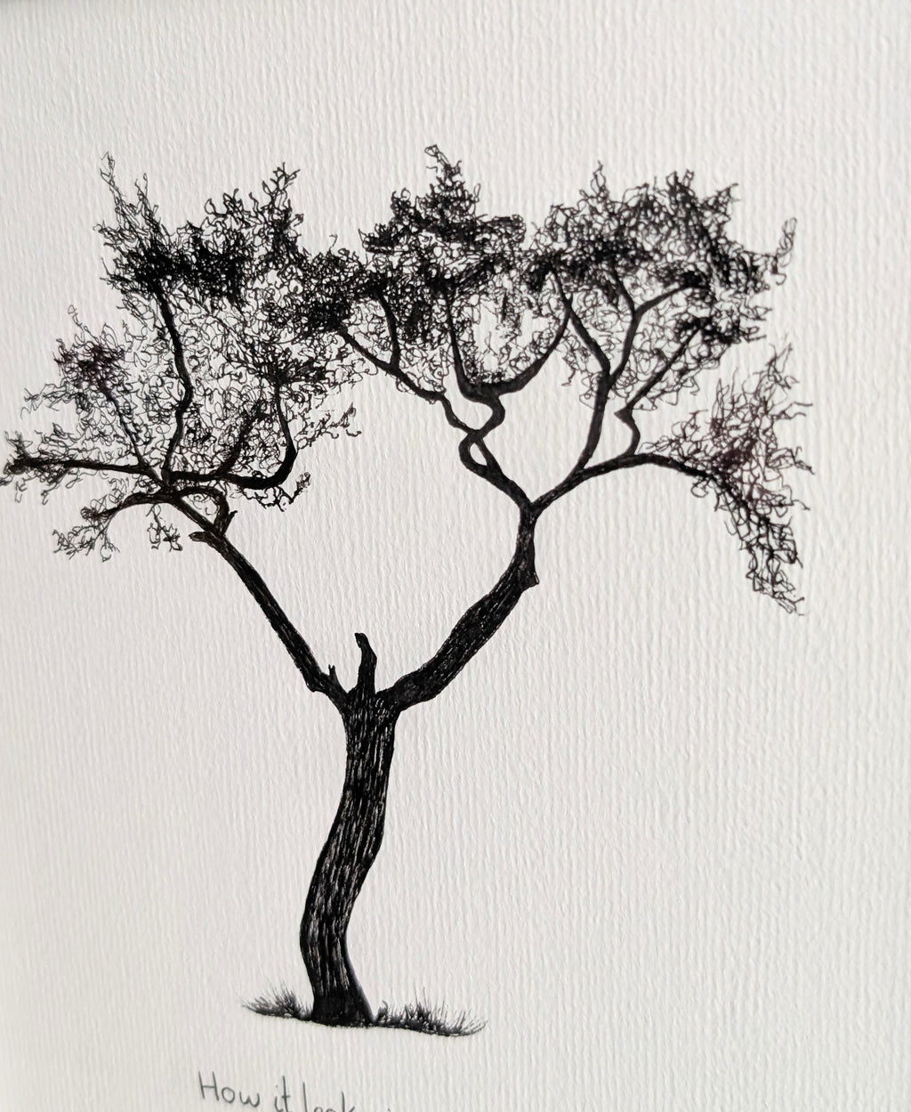 How It Looks - Original Tree Sketch
