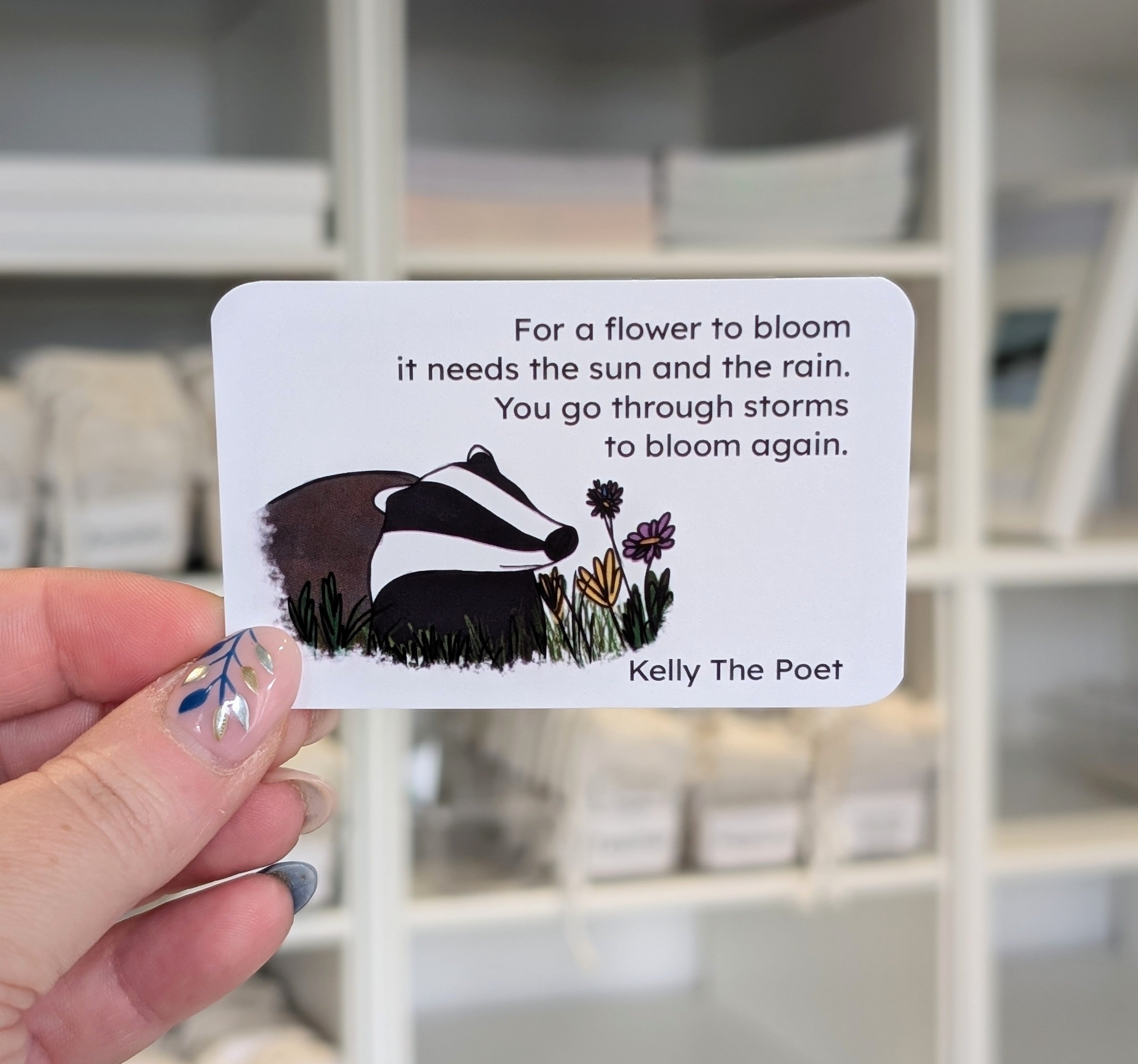 Badger And Butterfly Pocket Poems