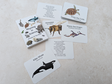 Load image into Gallery viewer, Educational Cards - Rhyming In Science - Animals Of The World
